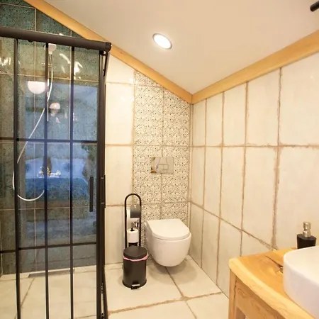 Private And Luxurious Suites In Villa With Beautiful Garden 戈西克